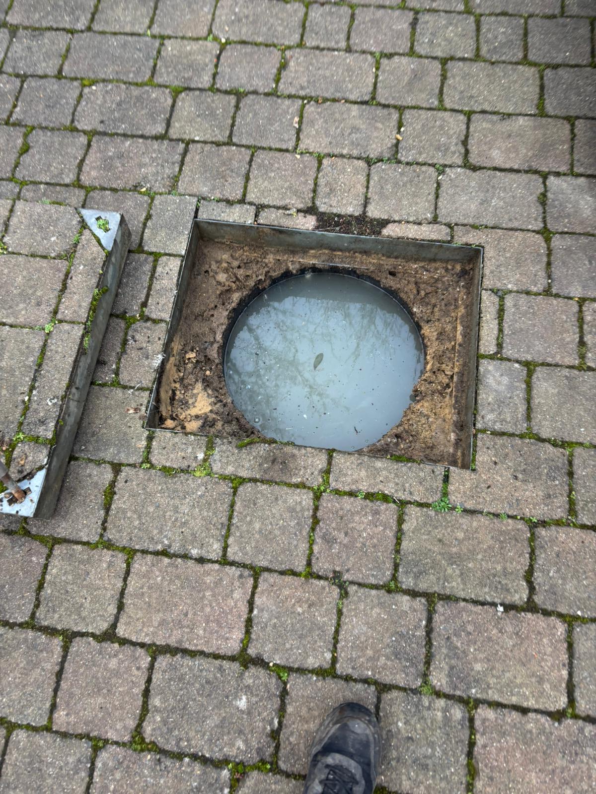 WhatsApp Image 2025 02 03 at 21.20.42